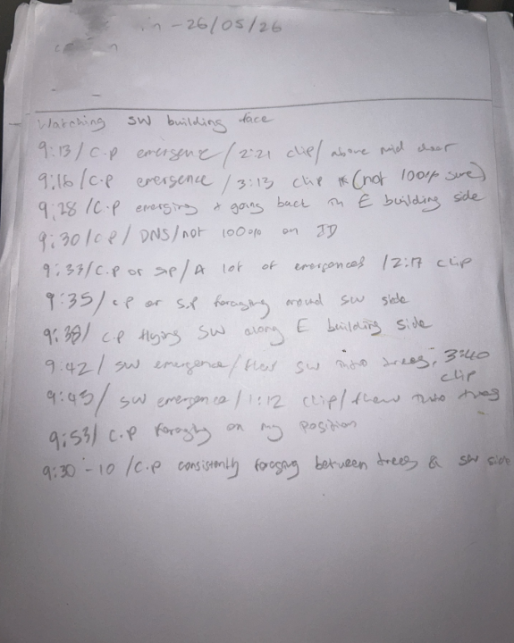 A photo of my handwritten paper field notes from a bat survey — sideways shorthand on a piece of A4.